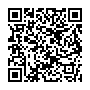 夜晚归于平静……后背感受到君无妄强有力的心跳二维码生成