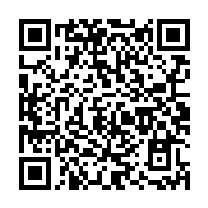 夜晚归巢的鸟儿也渐渐地从叽叽喳喳的吵闹中安静下来二维码生成