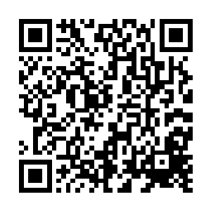 夜晚的荒原是夜行猛兽以及黑暗种族里低等生物的天下二维码生成