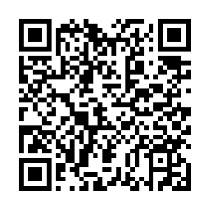 夜染一副豪迈大方的表情取出一个玉瓶子递给了君墨皇二维码生成