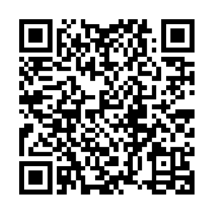夜染仿佛已经感觉到禁地之中那与她血脉相连的苍穹宝塔的呼唤二维码生成