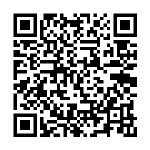 夜染使出第一层和第二层也不能杀死过多的怪物二维码生成