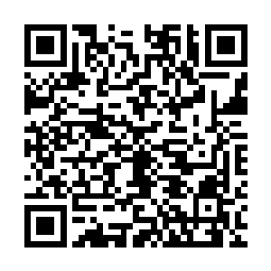 夜染几人都没有注意到的是他们体内的内力已经开始产生了变化二维码生成