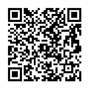 夜染和柳非笑几人看着罗莉少女的目光又多了几分认可二维码生成