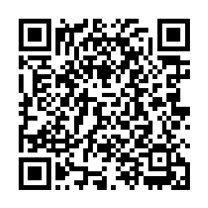 夜染咬牙切齿的看着地上那个满身血污的银衣银发女子二维码生成