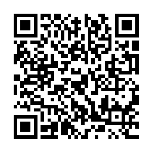 夜染咬牙切齿的看着这一眼望不到尽头的食人花海二维码生成