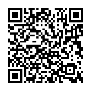 夜染抬手将六枚赤阳之果放入第五层底座凹槽中二维码生成