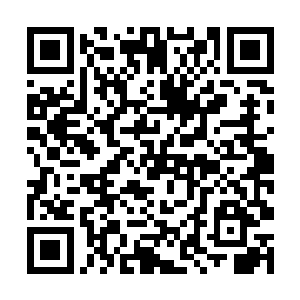 夜染拿出一颗丹药捏碎趁空隙拍在了司末萧的伤口上二维码生成