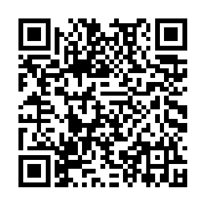 夜染此刻无比庆幸前世师父教她医术和炼丹的时候二维码生成