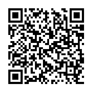 夜染留下两个字头也不回的朝着巨石人的方向而去二维码生成