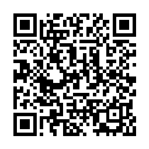 夜染的周围是数不清的血红色的两米高的食人花二维码生成