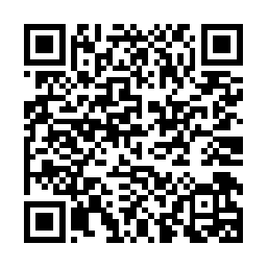夜染的手腕猝不及防的被柳非笑银骨扇中释放出来的暗器打到二维码生成
