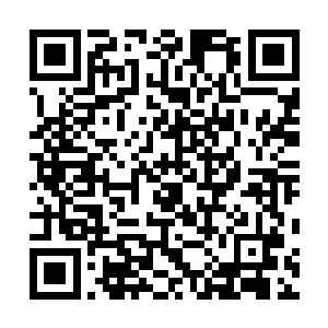 夜染的火红的衣衫伴随着灵动的身影在空中只是几个翻转二维码生成