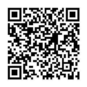 夜染的身影瞬间被巨大的反弹力量和冲击身影朝后撞飞二维码生成