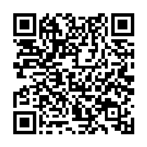 夜染眼睁睁的看着那束红色光芒射进了自己的眉心二维码生成