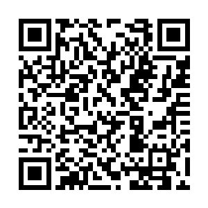夜染睁大眼睛看着那即将滚落至她身上的巨大圆石二维码生成