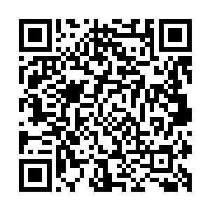 夜染还是喜欢将九大势力融合后的势力大本营放在这座岛屿上二维码生成