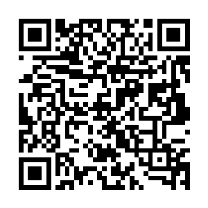 夜氏家族一整天都在迎接着到来的各大势力的人物二维码生成