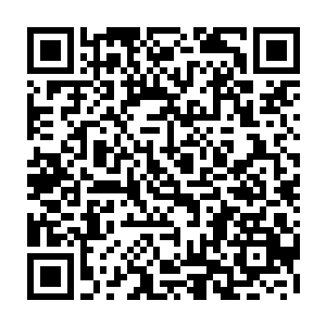 夜沁惜小郡主就是仗着自己是天雨国天福公主的和风苍国摄政王的女儿嚣张跋扈二维码生成