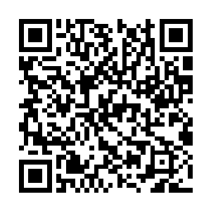 夜轻云亲眼看到一缕无垢之气钻入了手中的玉瓶内二维码生成