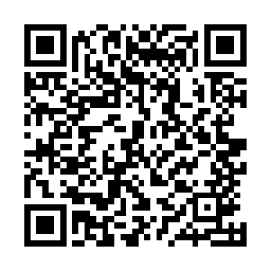 夜辜星和安隽煌带着俩孩子搭上了从纽约飞往奥兰多的航班二维码生成