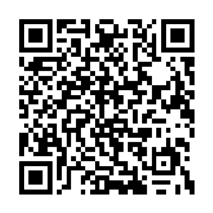 夜辜星明显察觉到西尔维娅的目光有一瞬间波动二维码生成