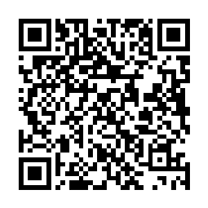 夜逍遥化神初期的元婴身体内的仙力精华都被张潇晗吸收来二维码生成