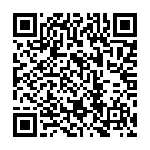 夜魔一号和二号都已经运动到了可以随时发起攻击的位置二维码生成