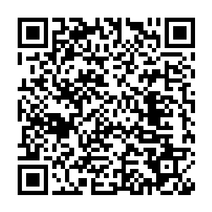 够资格坐在山峰底部参悟的人实力最低层次都是六阶剑王以上的强者二维码生成