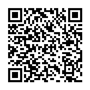 大……大姐头……没……没什么……我们没做什么大事……二维码生成