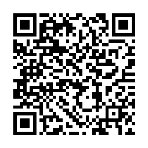 大……胆……敢……直呼……二宫主……名讳……二维码生成