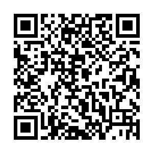 大不了就是将这南京城里的一处别院送与黎王府罢了二维码生成