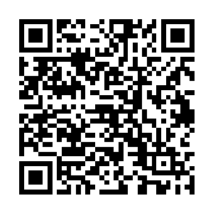 大不了自己和乔乔以后不在他们面前出现也就是了二维码生成