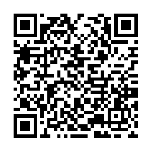 大乘期修士才不会冒险进入第一次出现的上古密地二维码生成