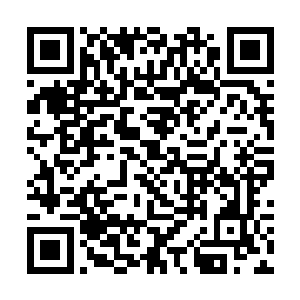 大乘期往上就已经到了修真界所能够容纳的最强实力二维码生成