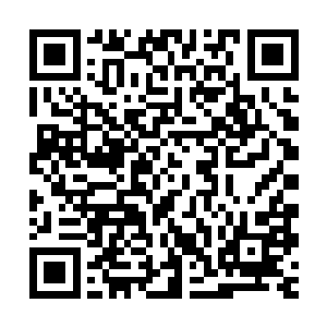 大人现在的收入根本不足以支撑大人如今的大手大脚和庞大开销二维码生成