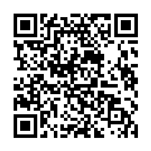 大会期间会有各大媒体对各场精彩比赛进行现场直播二维码生成