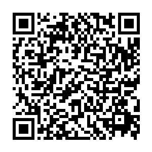 大体上也还是比较满意的……裂天兽已经非常稳当的压制这一只吞火巨蜥了二维码生成