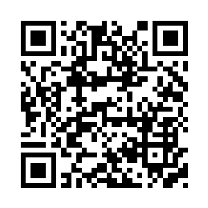 大军缴获的羊群如同白云一般的在草丛中穿行二维码生成