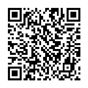 大冥殿的其他人这时都没心思去抢夺孟猊的任务卷轴了二维码生成