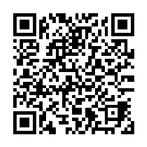 大刀阔斧想要今日将这小白兔吞食入腹的陆大少开始心疼了二维码生成