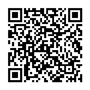 大力的挣扎的袁氏就好似突然被当头敲了一棒一样二维码生成