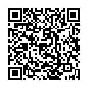 大力那样脖子上戴着栓狗用大金链子胳膊上纹着带鱼的二维码生成