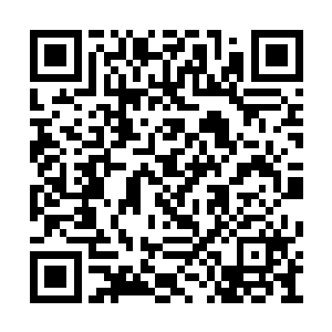 大半个衣服上满是血迹将原本的雪白染成了暗红二维码生成