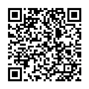 大半年来已经有所放松警惕的苗毅顿时高度警戒起来二维码生成