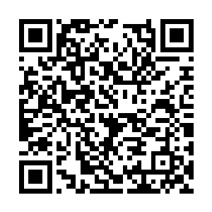 大半时间都让李碧婷占用说她学校里发生的趣事了二维码生成