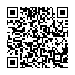 大半的身体浸在了水里脑袋和脖子伸到了沙滩上躺着享受起来二维码生成