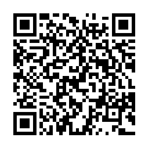 大卫不由有些好奇雨果当初是怎么说服自己好友将阿蒙二维码生成