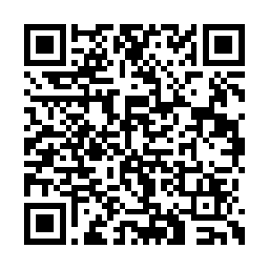 大卫意识到布拉德现在的情绪还是没有完全平复二维码生成