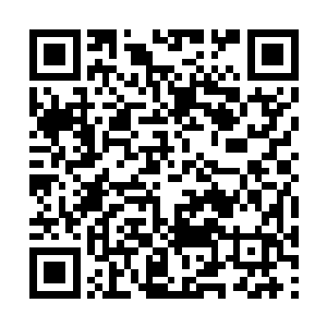 大卫根本无法寻找到合适的词汇来形容内心的震撼二维码生成